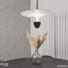 ⁦האנה 500⁩ – תמונה ⁦2⁩