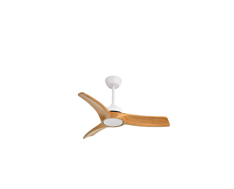 PANAMA-לבן-אלון