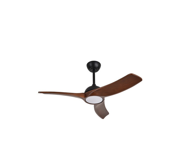 PANAMA-שחור-אגוז