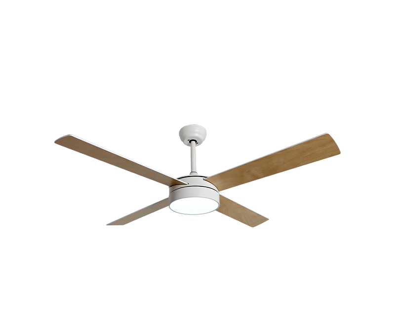 PORTO-לבן-אלון